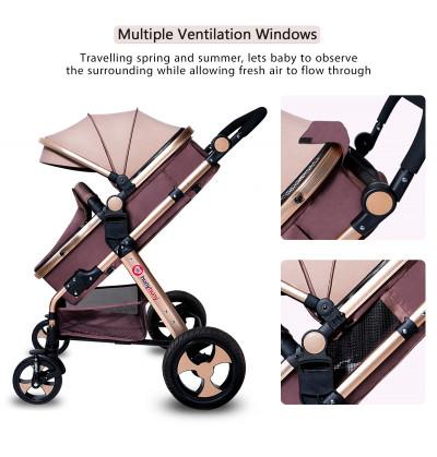 Stroller_with_reversible_bassinet_facing_the_world_facing_the_parent