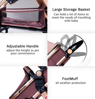 Twins_stroller_in_reclining_position